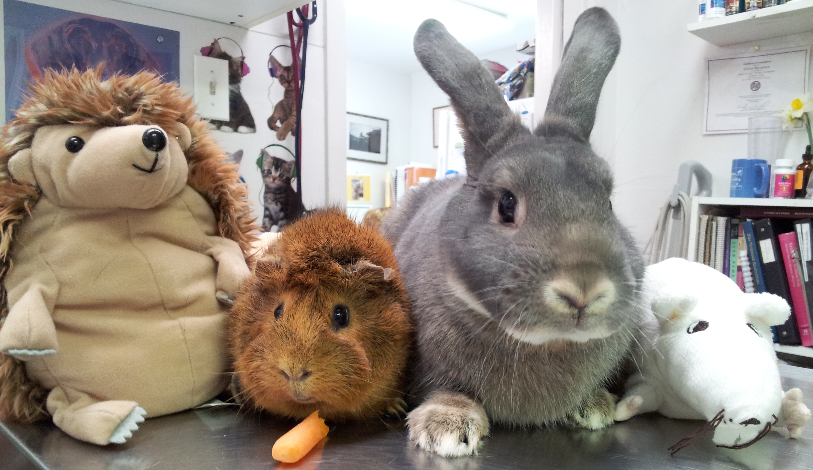 These are some of "Omi's" good friends.